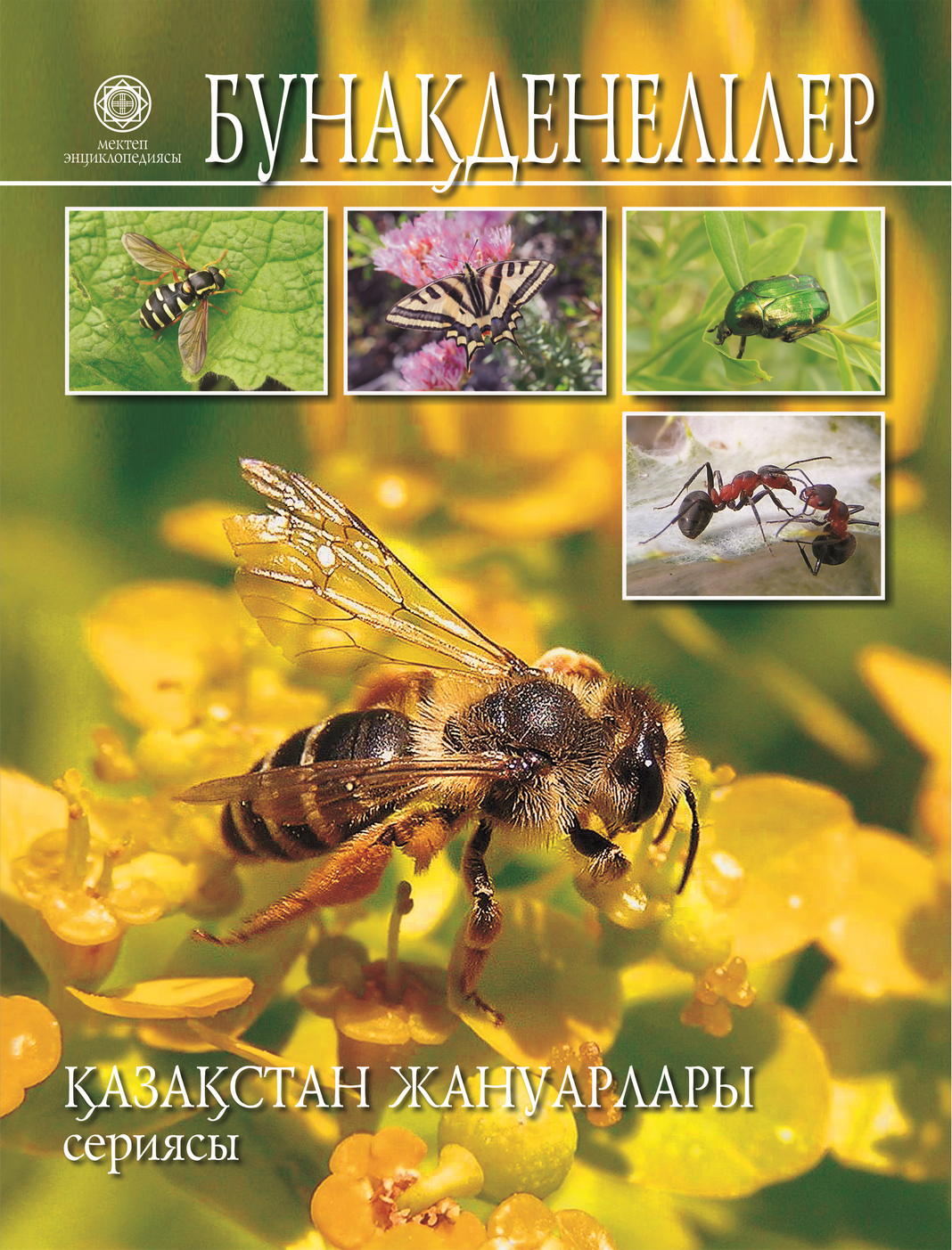 Буккакенің жеке фотосуреттері